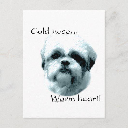 Shih Tzu koude neus warm hart Briefkaart (Voorkant)