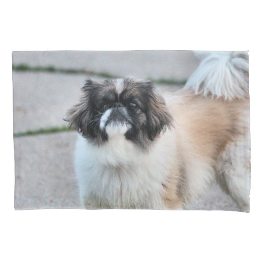 Shih tzu kussensloop (Voorkant)