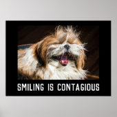 Shih tzu lachende glimlach aangepaste foto tekst poster (Voorkant)