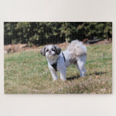 Shih Tzu Legpuzzel (Horizontaal)