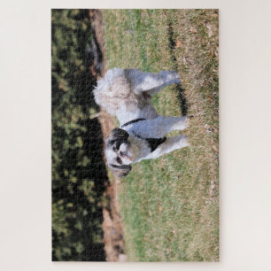Shih Tzu Legpuzzel