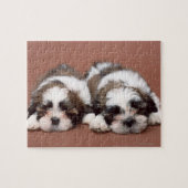 Shih Tzu Legpuzzel (Horizontaal)