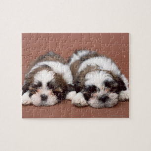 Shih Tzu Legpuzzel