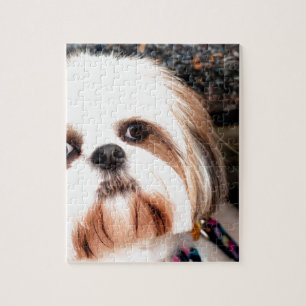 Shih Tzu Legpuzzel