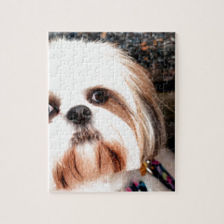 Shih Tzu Legpuzzel