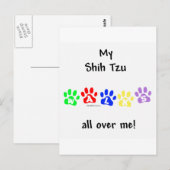 Shih Tzu loopt over je heen Briefkaart (Voorkant / Achterkant)