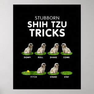 Shih Tzu Lover   Funny Shih Tzu Trick Dog Love Poster