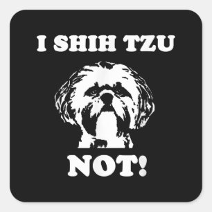 Shih Tzu Lover I Shih Tzu not Funny Dog Vierkante Sticker
