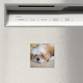 Shih Tzu Magneet (Insitu (Vaatwasser))
