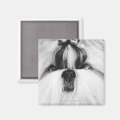 Shih Tzu Magneet (Voorkant / Achterkant)