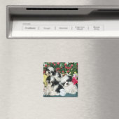 Shih Tzu Magnet (Insitu (Vaatwasser))