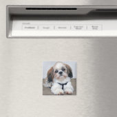 Shih Tzu Magnet (Insitu (Vaatwasser))