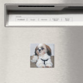 Shih Tzu Magnet (Insitu (Vaatwasser))