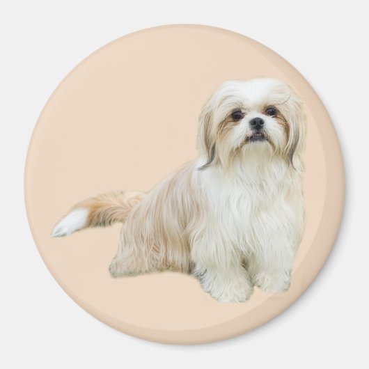 Shih Tzu Magnet (Voorkant)