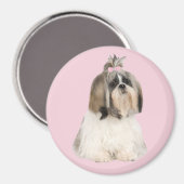 Shih Tzu Magnet (Voorkant / Achterkant)
