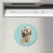 Shih Tzu Magnet (Insitu (Vaatwasser))