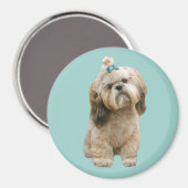 Shih Tzu Magnet (Voorkant / Achterkant)