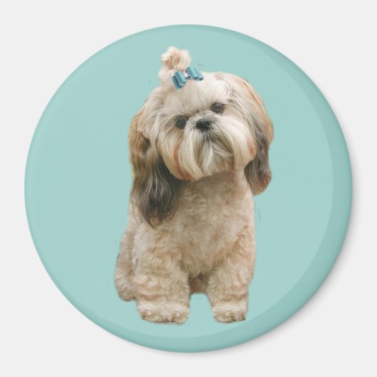 Shih Tzu Magnet (Voorkant)