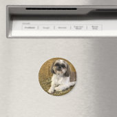 Shih Tzu Magnet 2 (Insitu (Vaatwasser))
