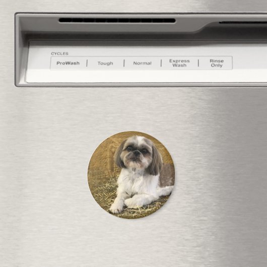 Shih Tzu Magnet 2 (Insitu (Vaatwasser))