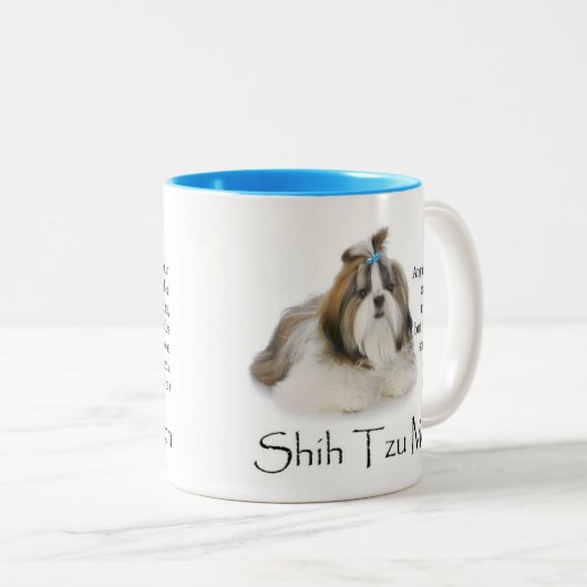 Shih Tzu Mam Mok (Voorkant rechts)