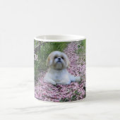 Shih Tzu Mam Mok (Center)