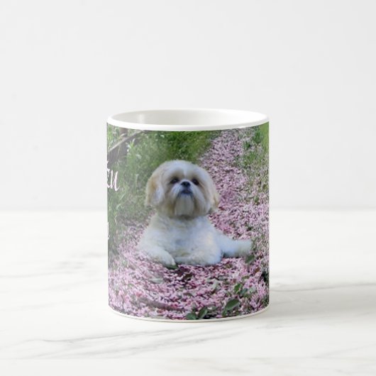 Shih Tzu Mam Mok (Center)