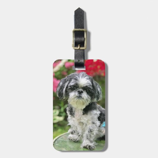 Shih Tzu Meisje Bagage Label (Voorkant verticaal)