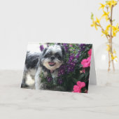 Shih Tzu Meisje Wenskaart Kaart (Gele Bloem)