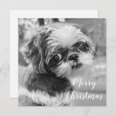 Shih Tzu Merry Briefkaart met kerstmis (Voorkant / Achterkant)
