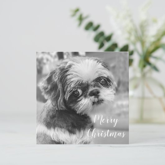 Shih Tzu Merry Briefkaart met kerstmis (Staand voorkant)