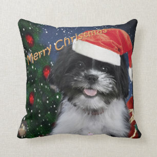 Shih Tzu Merry Kussens