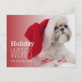 Shih Tzu met een Santa Claus pet Feestdagenkaart (Voorkant)