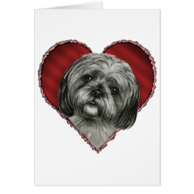 Shih Tzu met hart (Voorkant)