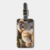 Shih Tzu met kerstverlichting Vakantie Bagagelabel (Voorkant verticaal)
