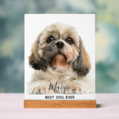Shih Tzu Moeder Gepersonaliseerde Pet Dog Foto Acryl Bord (Neutraal)