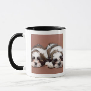 Shih Tzu Mok
