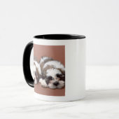 Shih Tzu Mok (Voorkant links)