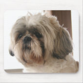 Shih Tzu Mousepad Muismat (Voorkant)