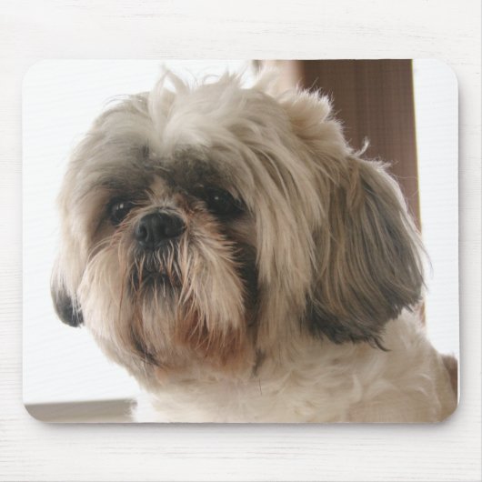 Shih Tzu Mousepad Muismat (Voorkant)