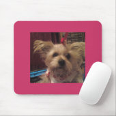Shih Tzu Muismat (Met muis)