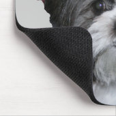 shih tzu muismat (Hoek)