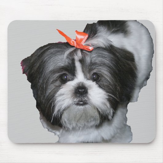 shih tzu muismat (Voorkant)