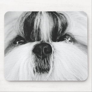 Shih Tzu Muismat