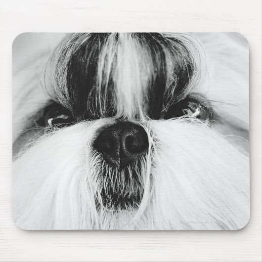 Shih Tzu Muismat (Voorkant)