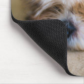 Shih Tzu Muismat (Hoek)