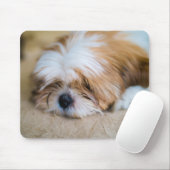 Shih Tzu Muismat (Met muis)