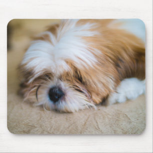 Shih Tzu Muismat