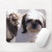 Shih-Tzu Muismat (Met muis)