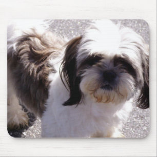 Shih-Tzu Muismat